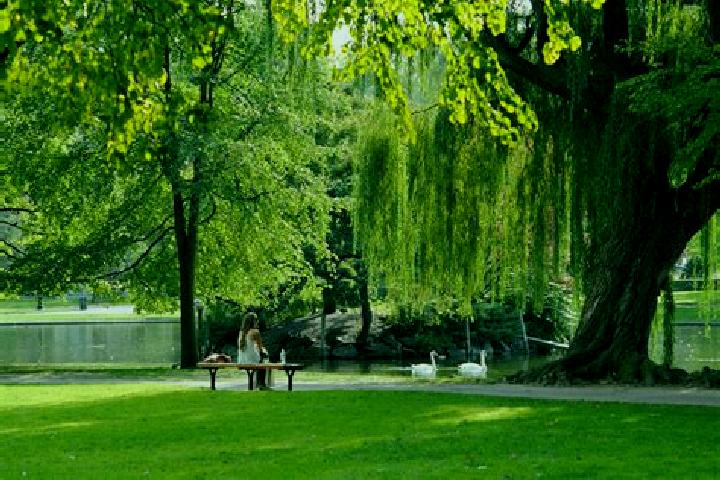 Aurora, 35 — Escort in Virginia Park, Canada