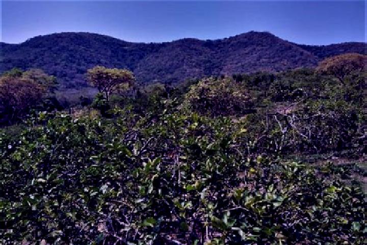 Aurora, 36 — Escort in El Limonar, Mexico