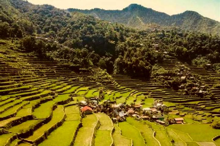 Aurora, 36 — Escort in Luzon, Philippines