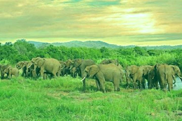 Aurora, 36 — Escort in Mkuze, South Africa