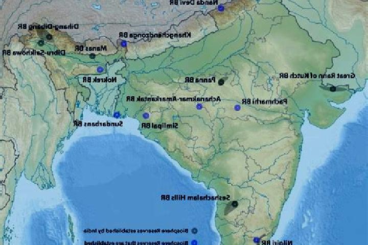 Aurora, 36 — Escort in Peddanayakkanpalaiyam, India