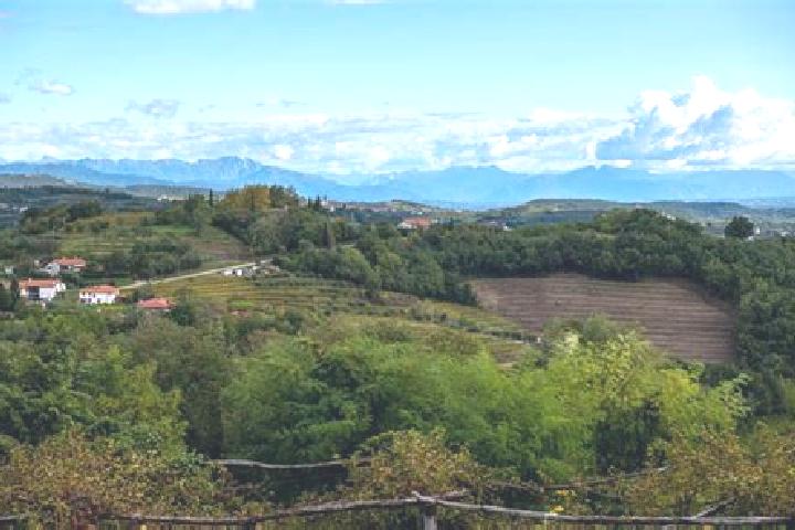 Aurora, 36 — Escort in San Floriano, Italy