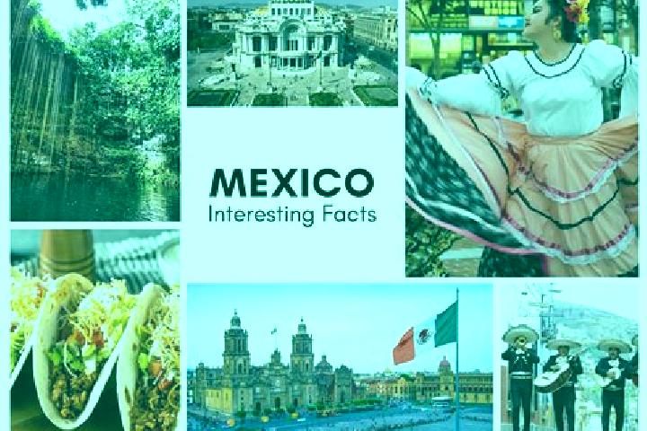 Aurora, 36 — Escort in Tianquizolco, Mexico