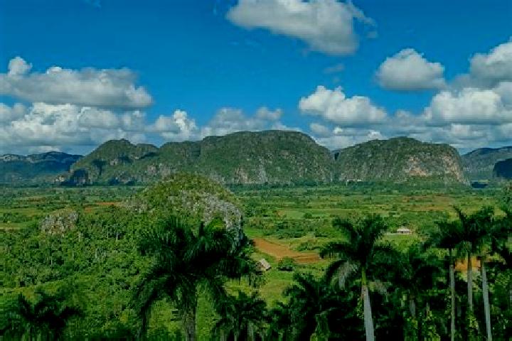 Aurora, 36 — Escort in Vinales, Cuba