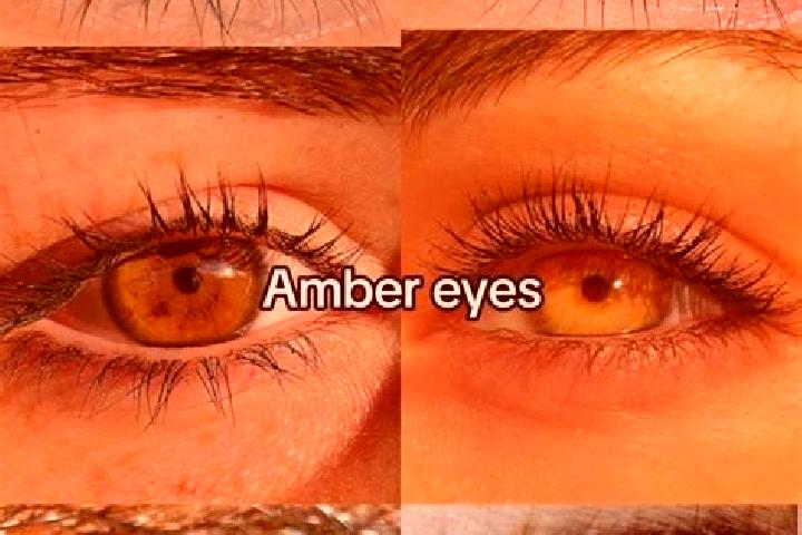 Aurora, 37, a brunette amber-eyed middle eastern companion based in San Andres Huayapam. Offering Domination, Prostate Massage, GFE, Tantra. Available for in...