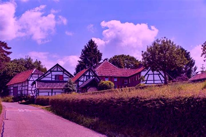 Aurora, 37 — Escort in Borlo, Belgium