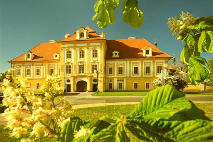 Aurora, 37 — Escort in Broumov, Czech Republic