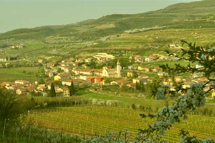 Aurora, 37 — Escort in Cazzano di Tramigna, Italy