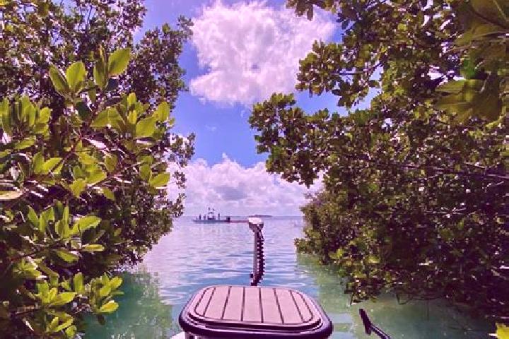 Aurora, 37 — Escort in Cudjoe Key, United States
