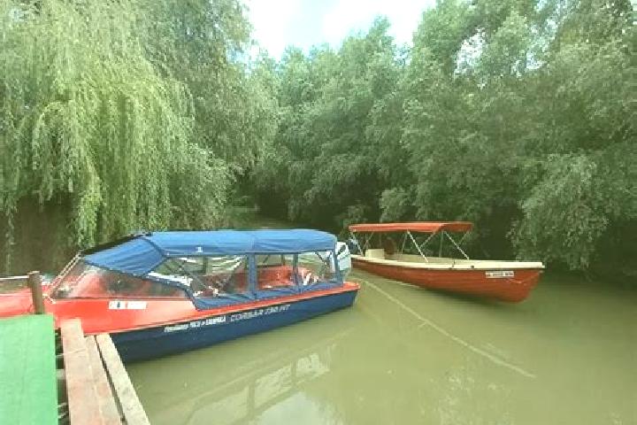 Aurora, 37 — Escort in Dunavatu de Jos, Romania
