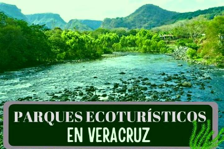 Aurora, 37 — Escort in El Mameyal, Mexico