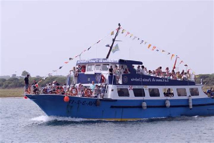 Aurora, 37 — Escort in Llano de la Canoa, Mexico