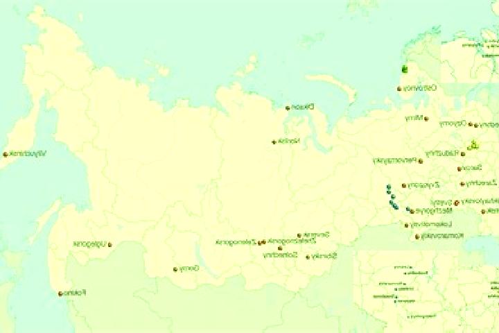 Aurora, 37 — Escort in Sinodskoye, Russia