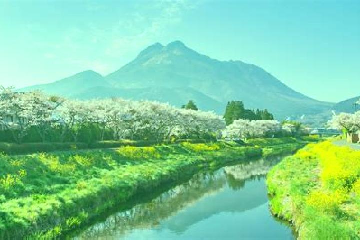Aurora, 37 — Escort in Yufu, Japan