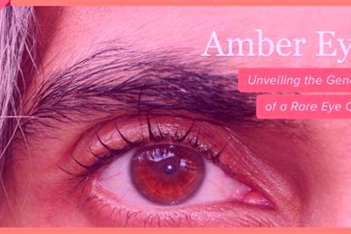 Aurora, 38, a black amber-eyed slavic companion based in High Park. Offering GFE, Couples, Striptease. Available for incall and outcall, day and evening dates.