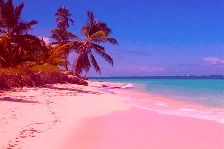 Aurora, 38, a brunette dark-eyed caribbean companion based in Cabeza de Toro. Offering Duos, Travel Companion, 69. Available for incall and outcall, overnigh...