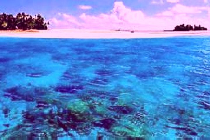 Aurora, 38 — Escort in Banana Village, Kiribati