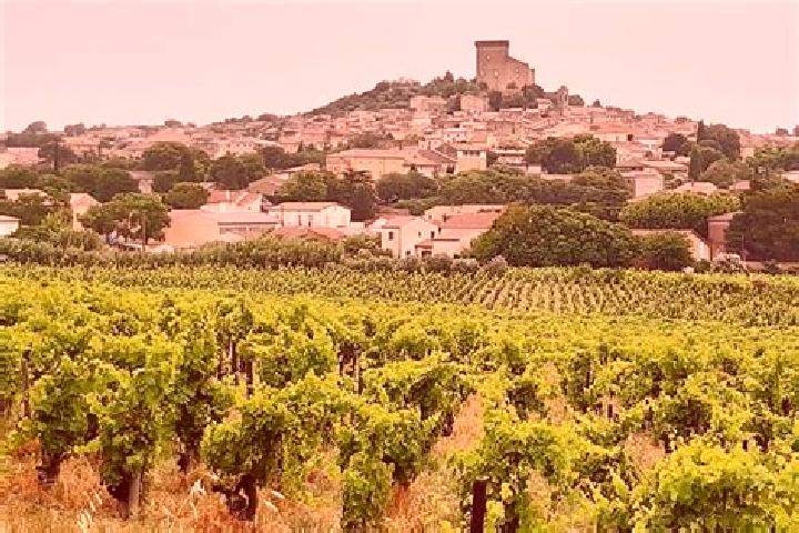 Aurora, 38 — Escort in Chateauneuf-du-Pape, France