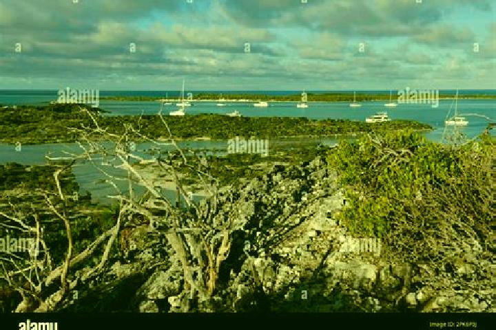 Aurora, 38 — Escort in Colonel Hill, Bahamas
