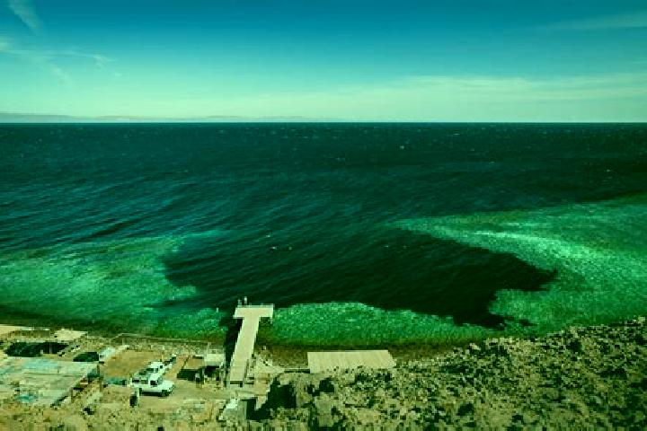 Aurora, 38 — Escort in Dahab, Egypt