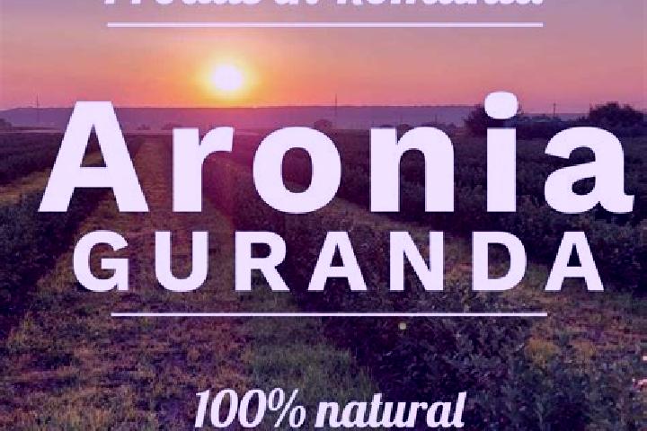 Aurora, 38 — Escort in Guranda, Romania