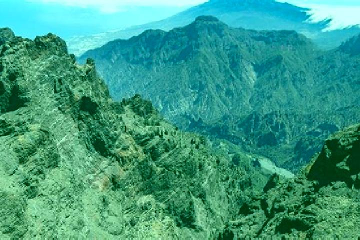 Aurora, 38 — Escort in La Palma de Emenguaro, Mexico