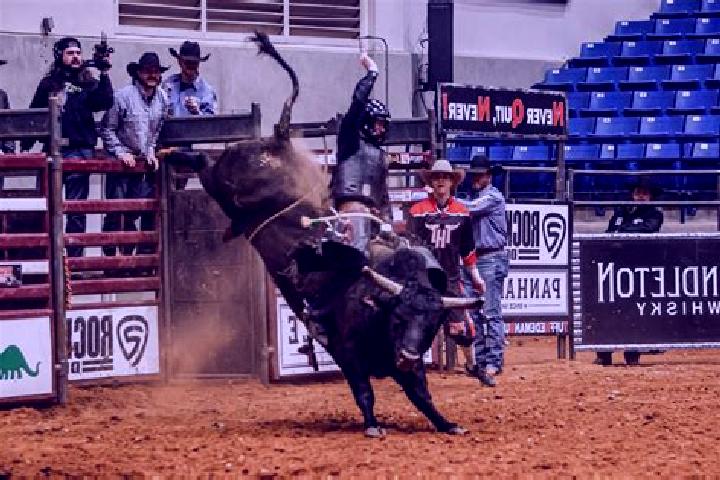 Aurora, 38 — Escort in Rodeo, Mexico