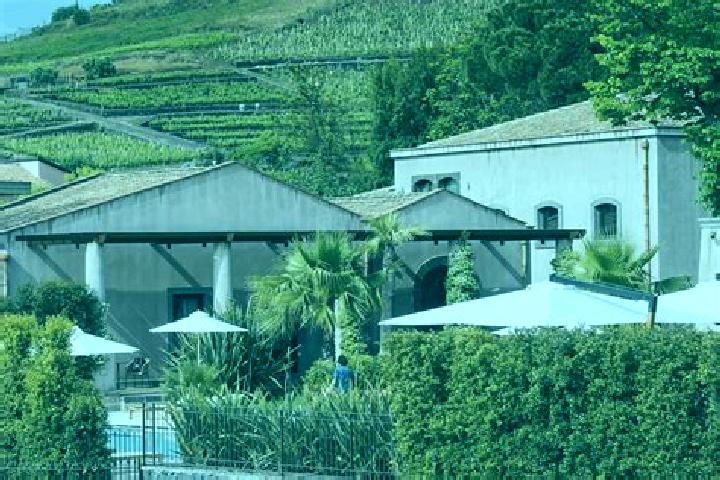 Aurora, 38 — Escort in San Procopio, Italy