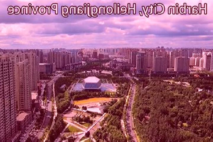 Aurora, 38 — Escort in Shuangcheng, China