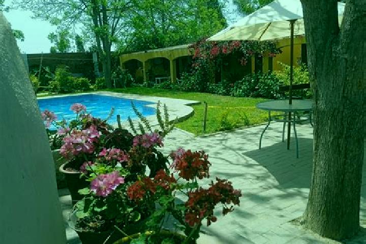 Aurora, 38 — Escort in Villa San Agustin, Argentina