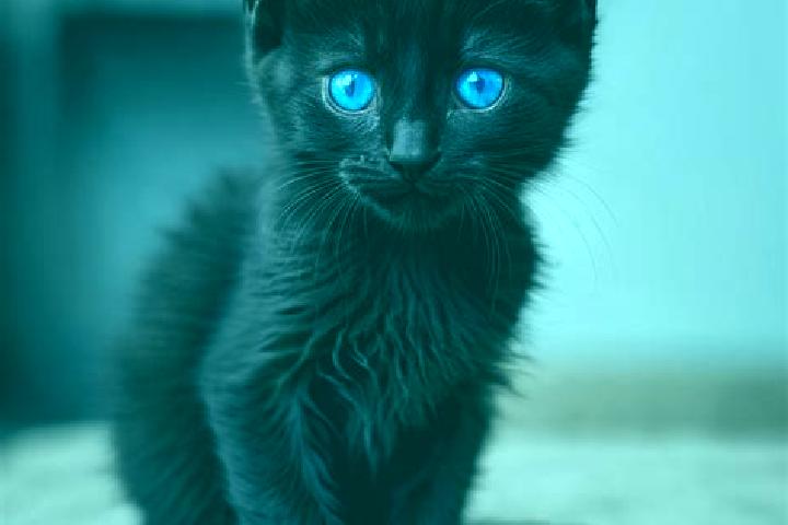 Aurora, 39, a black blue-eyed caribbean companion based in Xiaozhan. Offering Party Girl, Fetish, GFE, OWO. Available for incall and outcall, overnight booki...