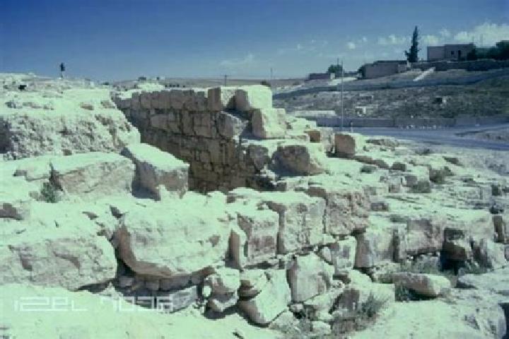 Aurora, 39 — Escort in Dhiban, Jordan