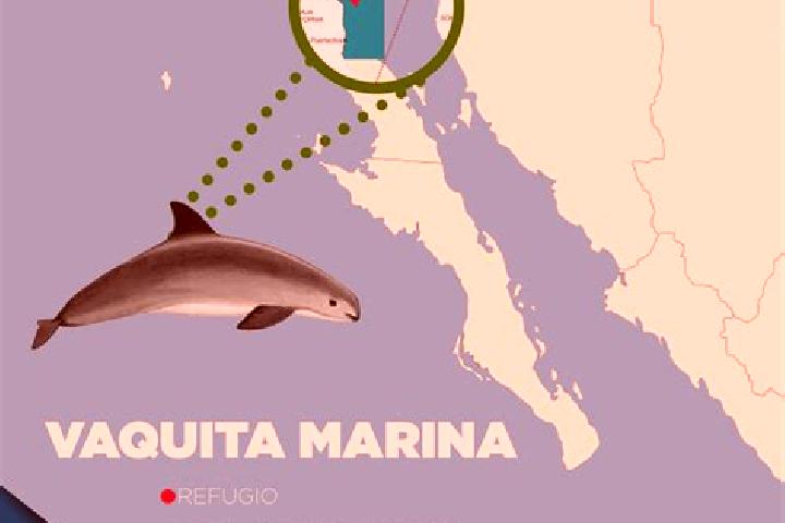Aurora, 39 — Escort in Dieciocho de Julio, Uruguay