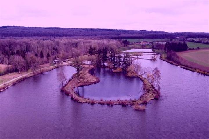 Aurora, 39 — Escort in Echarcon, France