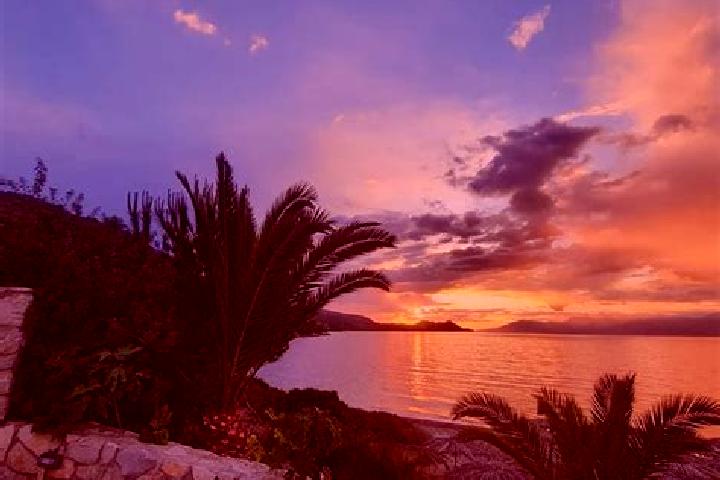 Aurora, 39 — Escort in Flampouro, Greece