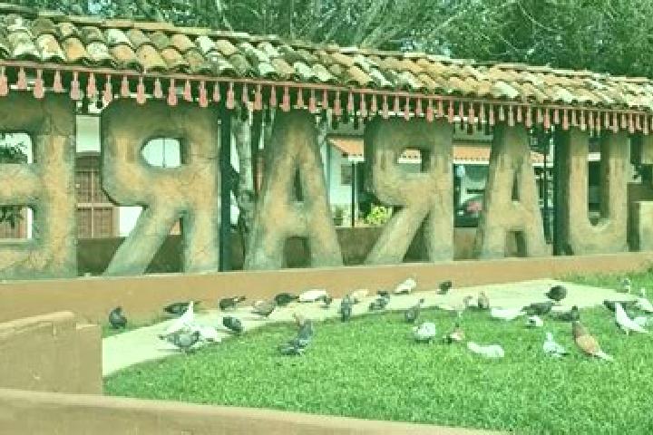 Aurora, 39 — Escort in Guarare, Panama