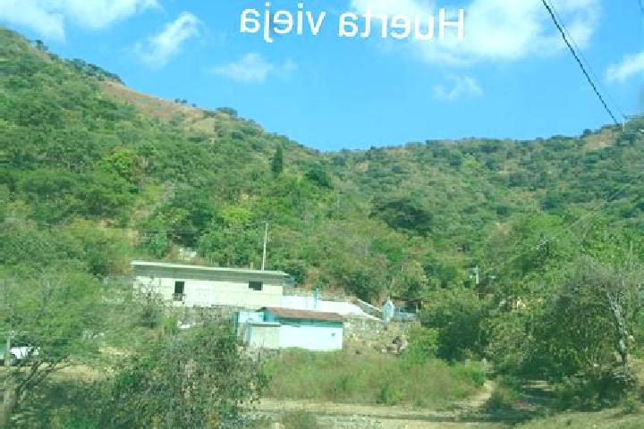 Aurora, 39 — Escort in Huerta Vieja, Mexico