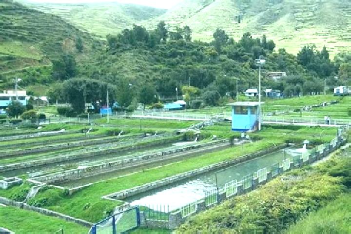 Aurora, 39 — Escort in Ingenio, Peru