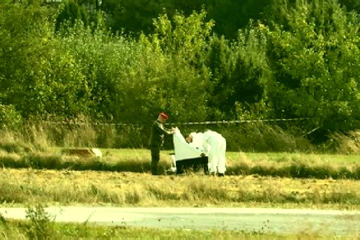 Aurora, 39 — Escort in Mniszkow, Poland