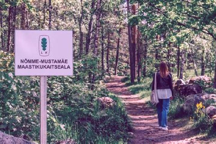 Aurora, 39 — Escort in Mustamaee, Estonia