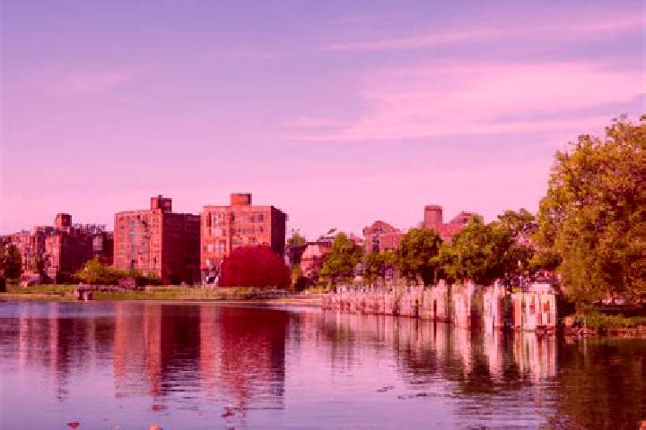 Aurora, 39 — Escort in Rochelle Park, United States