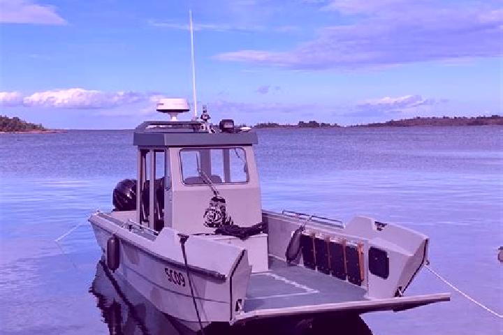 Aurora, 39 — Escort in Saltvik, Aland Islands