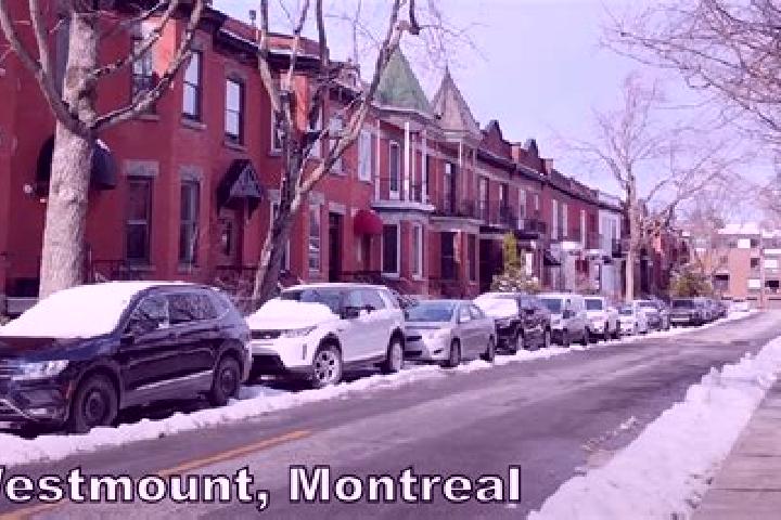 Aurora, 39 — Escort in Westmount, Canada