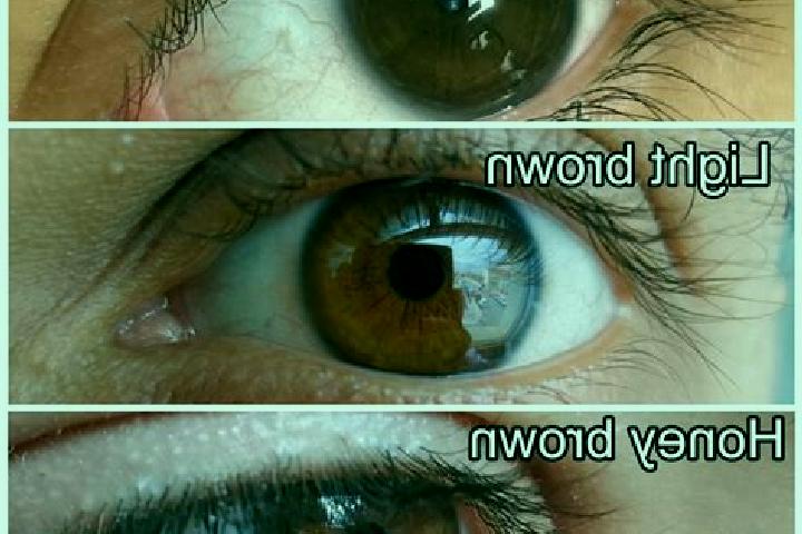 Ava, 20, a chestnut amber-eyed slavic companion based in Holyrood. Offering 69, Massage, Girlfriend Experience, Fetish. Available for incall and outcall, ove...