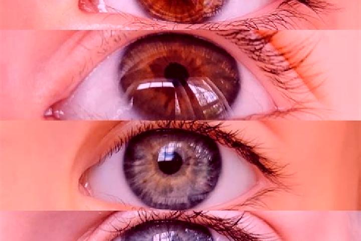 Ava, 20, a chestnut blue-eyed middle eastern companion based in Berville-sur-Seine. Offering Roleplay, Erotic Massage, Domination, Overnight. Available for i...