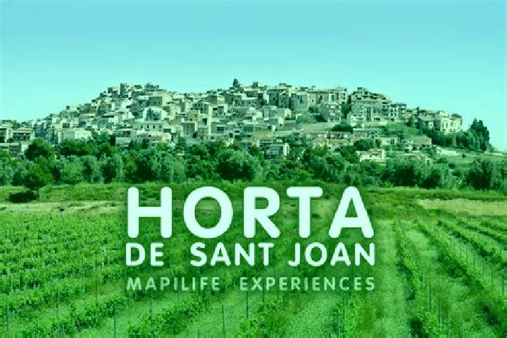 Ava, 20 — Escort in Horta de Sant Joan, Spain