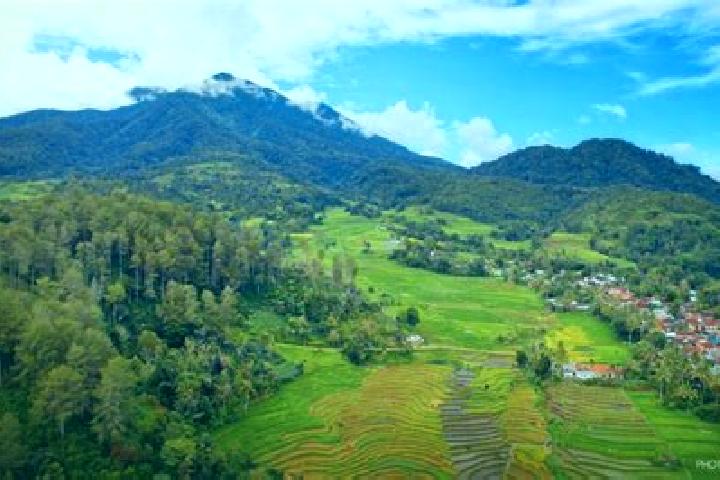 Ava, 20 — Escort in Masbagik, Indonesia