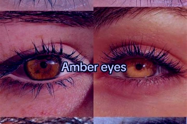 Ava, 21, a brunette amber-eyed indian companion based in Hinojos. Offering GFE, CIM, Erotic Massage, 69, Deep French Kissing. Available for incall and outcal...