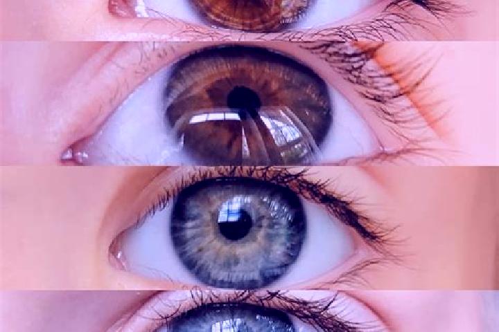 Ava, 21, a chestnut grey-eyed middle eastern companion based in Jido. Offering Overnight, Domination, Roleplay. Available for incall and outcall, day and eve...