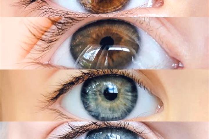 Ava, 21, a chestnut grey-eyed middle eastern companion based in Tuban. Offering Domination, Travel Companion, Striptease. Available for incall and outcall, d...